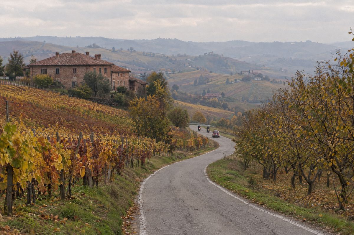 Strada tra le vigne delle Langhe in autunno